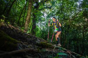 BIB: 285
                            <button type="button" onclick="openModal(16015681)" class="btn btn-primary btn-sm float-right btn-popup" data-toggle="modal" data-target=".modal-high-quality">
                        <i class="fas fa-shopping-cart"></i> Add to Cart
                    </button>
                                            <button type="button" onclick="isThisMe(16015681, true)" class="btn btn-success btn-sm float-right btn-popup btn-isme hidden" data-toggle="tooltip" data-placement="bottom" title="นี่คือรูปของคุณใช่ไหม คลิกที่นี่เพื่อเอาเข้าอัลบั้ม">
                        <i class="fas fa-plus"></i> Add to album
                    </button>
                    <button type="button" onclick="isThisMe(16015681, false)" class="btn btn-warning btn-sm float-right btn-popup btn-isnotme hidden">
                        <i class="fas fa-ban"></i> Remove from album
                    </button>